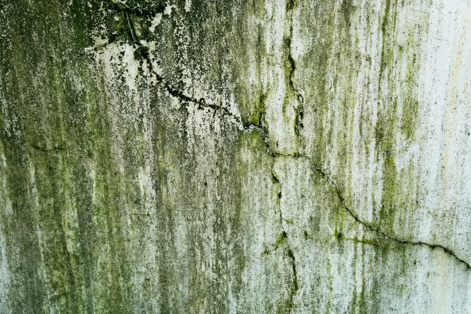 Our Experience in Environmental Air Restoration
