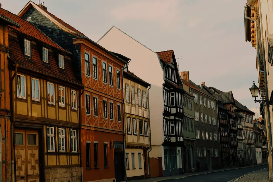 Spring Valley — mold removal